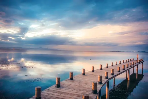 午饭焖饭简单美食做法