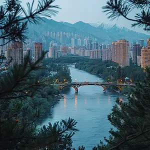 菠菜白凉粉美食做法