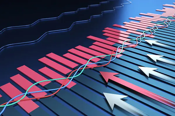 酒香美食芹菜饺子做法