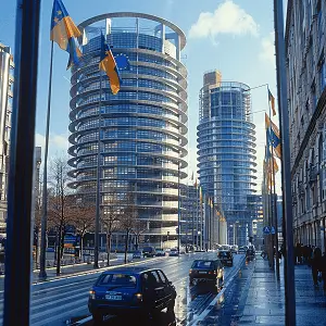 酸奶鸡蛋的美食做法