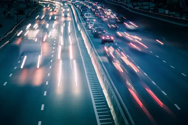 自制大蒜美食的做法